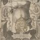 Illustration for article titled Columbia Just Digitized a Bestselling Anatomy Flipbook From the 1610s